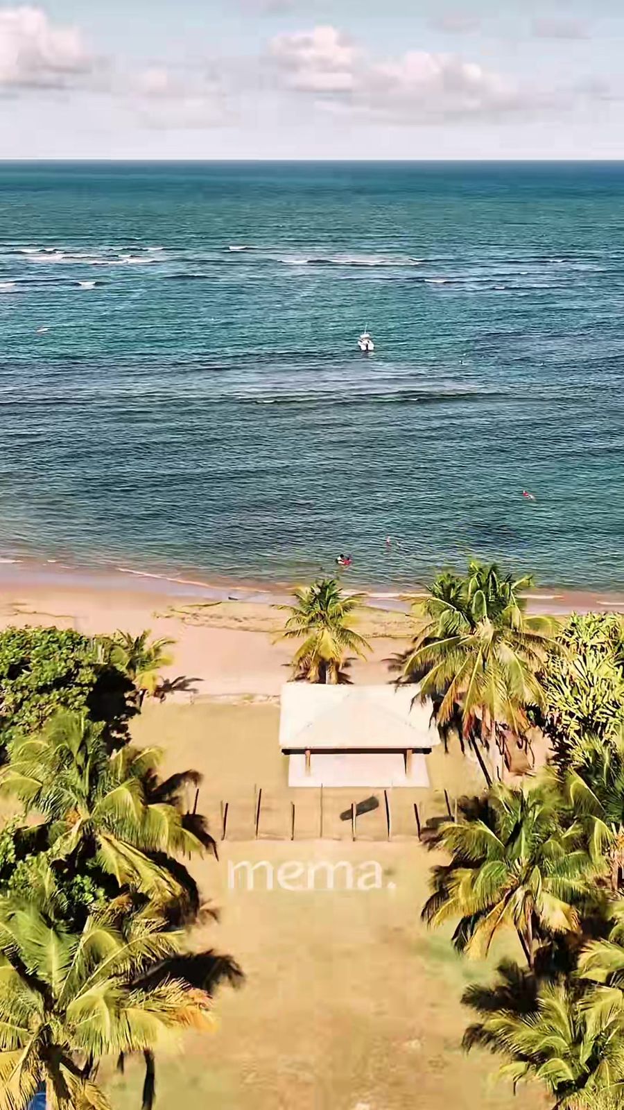 Jardim com coqueiros que termina direto na areia da praia